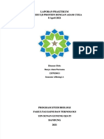 PDF Laporan Praktikum Uji Protein Dengan Asam Cuka DL