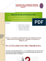 Diapositiva Proyecto Ecologia