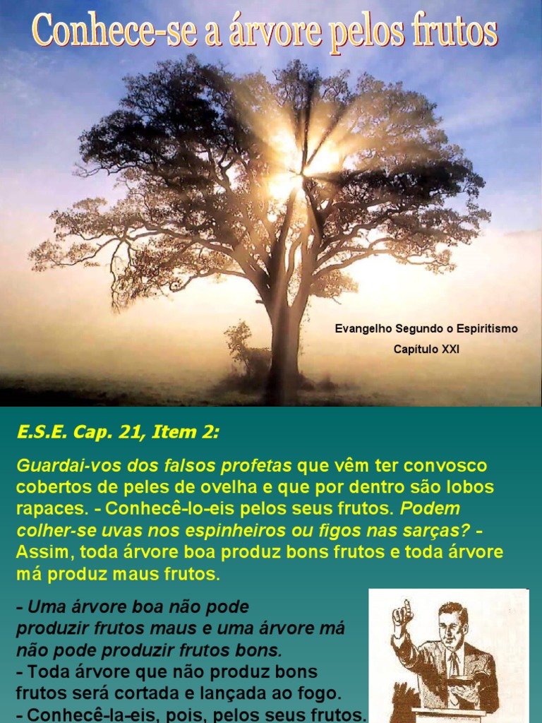 Conhece-Se A Árvore Pelos Frutos GEC 03-09-2011 | Download grátis PDF ...