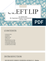 Cleft Lip-ppt Gautam