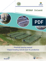 Tilapia Breeding and Fry Production