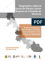 Diagnóstico Violencia de Genero Veracruz E Book 2019