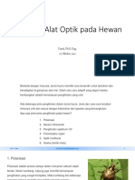 Alat Optik Pada Hewan