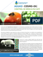 COLOMBIA-CAFE-PLAN-Plan para un mayor control de broca