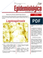 Estadísticas de Salud. Venezuela. Boletín Epidemiológico. Semana 06 del 06 al 12 de febrero 2011. Ministerio de Salud de Venezuela