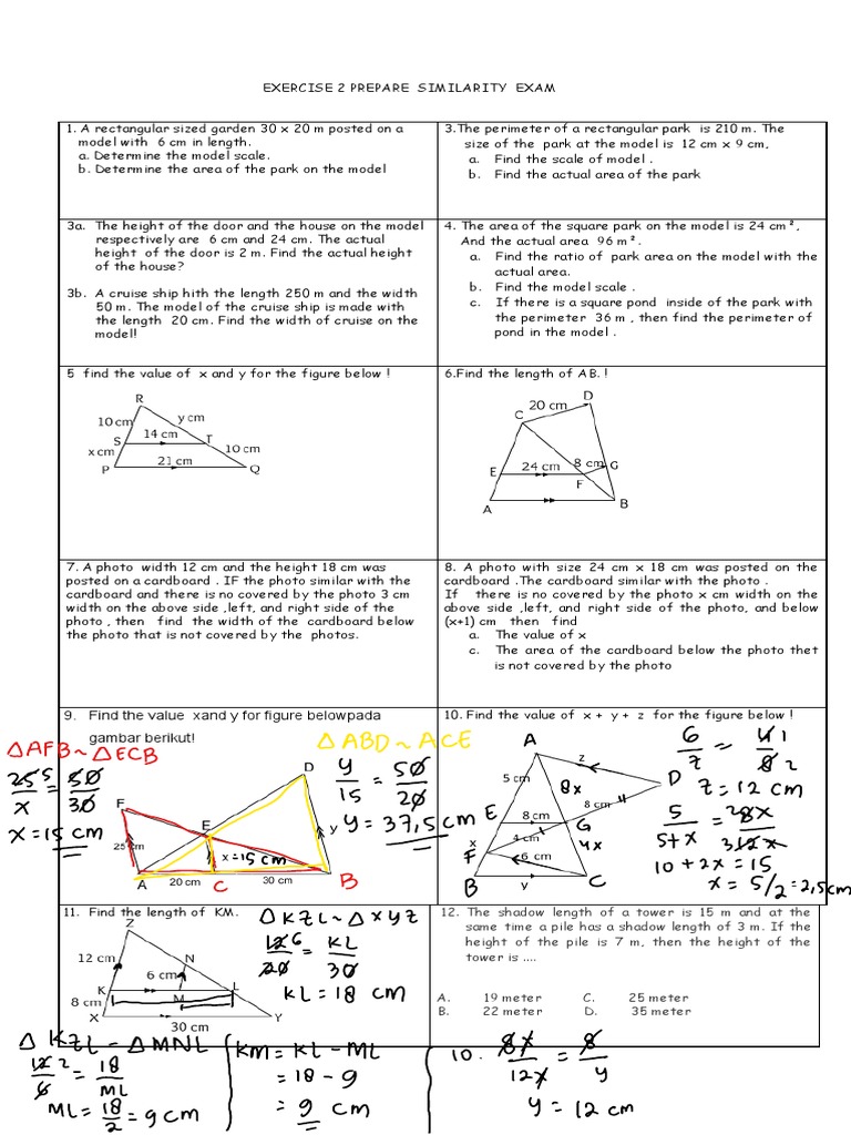 Exercise 2 Prepare Similarity Exam PDF Area Length