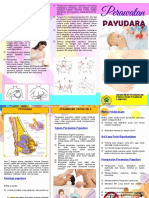 2_LEAFLET_PERAWATAN_PAYUDARA_A4_Bolak_ba