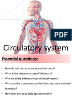 9.1 Circulatory System