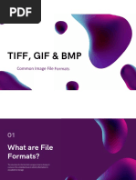 Common Image File Formats