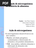 Aplicação de microrganismos na indústria de alimentos