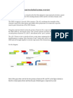 Yeast two-hybrid system overview: Protein interaction detection in yeast