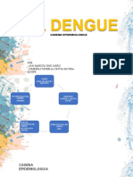 Dengue - Cadena Epidemiologica