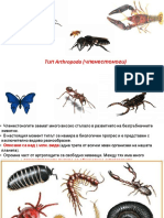 Тип Артропода-обща Характеристика, Раци, Паяци, Скорпиони,Кърлежи-морфологични Различия и Медицинско Значение, Стоян Стоянов