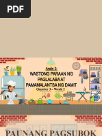 Pag-Aalis NG Mantsa Sa Damit | PDF