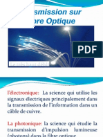 Fibre Optique 2009