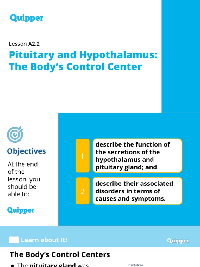 Hypothalamus and Pituitary Overview | PDF | Pituitary Gland | Thyroid ...