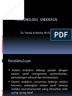 Terminologi Endokrin: Dr. Yanda Ardanta, M.Kes