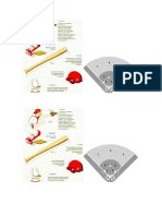 implementos en softbol