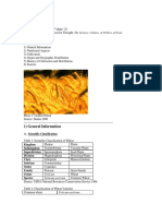 Wheat: A. Scientific Classification