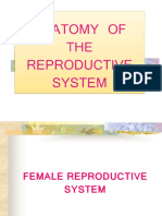 Female Reproductive System Overview