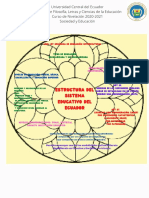 Estructura Del Sistema Educativo Del Ecuador