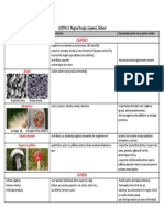 U4.l3. Fungi Ciuperci Licheni