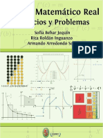 Libro Análisis Matemático Real Ejercicios y Problemas 2021