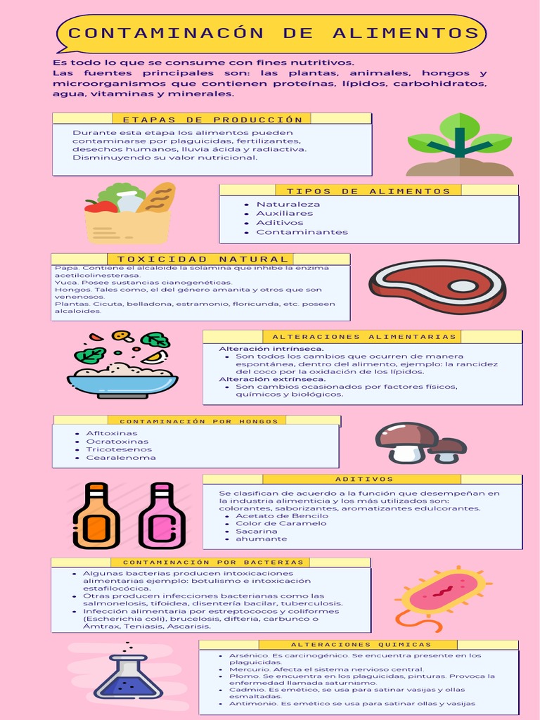 Contaminacón de Alimentos Infografia | PDF | Alimentos | Las bacterias