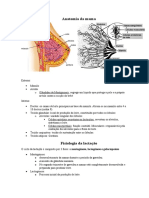 Saúde Materna e Obstetrícia