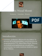 Andrés Wood Montt