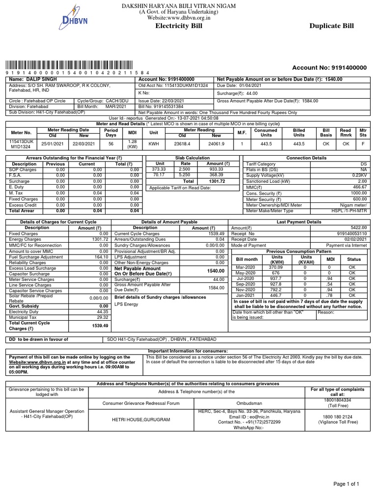 Electricity Bill Duplicate Bill: Account No: 9191400000 | PDF ...