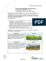 Ficha 24 A.C. Nap - Bs - PDF 585