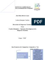 Cuadro Sinoptico - Opciones Estrategicas.