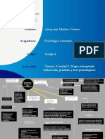 Tarea 1. Unidad 3. Mapa Conceptual. Entrevista, Pruebas y Test Psicológicos