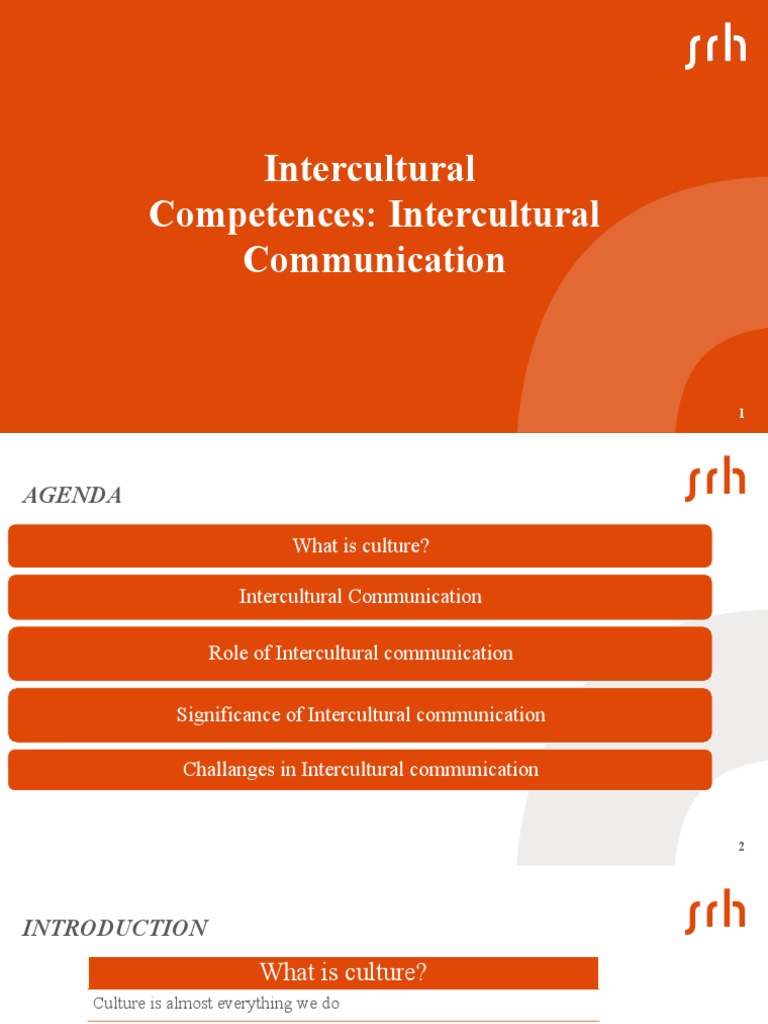Intercultural Communication Essentials | PDF | Cross Cultural ...