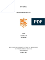 Makalah Metabolisme Protein