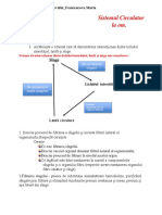 Exercitii Sistemul Circulator La Om