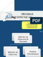 1065 Pruebas Psicotecnicas