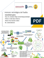 U1. Actividad 2 Mapa Mental (Trabajo Individual)