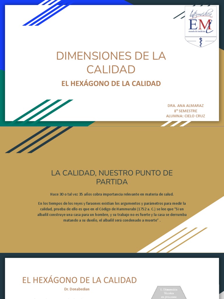Dimensiones de la Calidad en Salud | PDF | Hospital | Ciencias de la Salud
