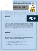 La respuesta sexual humana: Etapas y disfunciones en hombres y mujeres