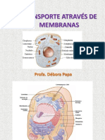 Transporte através de membranas (2)