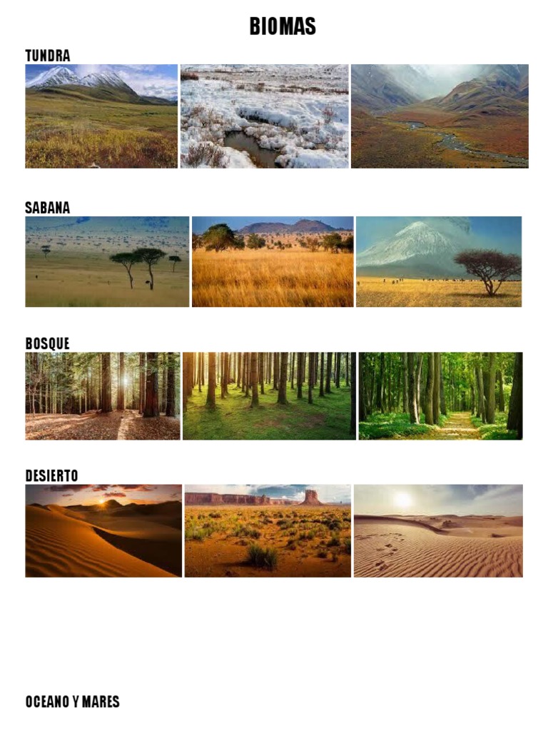 Collage de Biomas Terrestres | PDF