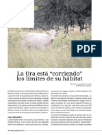 La Ura Está "Corriendo" Los Límites de Su Hábitat: Producción Ganadera