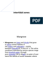 Inter Tidal Zones