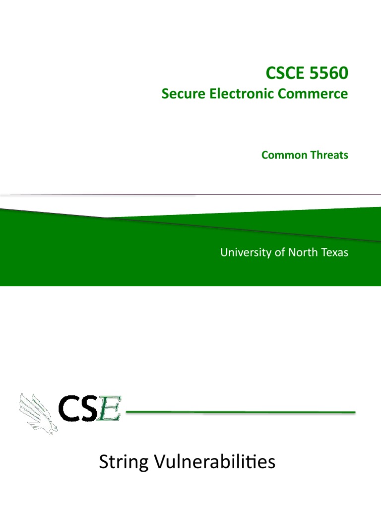 C-Style String Vulnerabilities Explained | PDF | Http Cookie | World ...