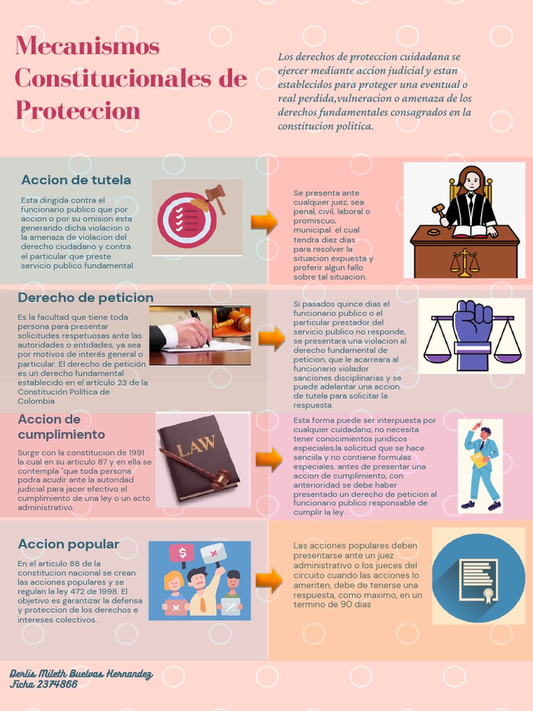 Mecanismos de Protección Constitucional en Colombia | PDF | Petición ...