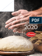 Informe de Gestion Levapan 2020