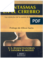 Vsip.info vs Ramachandran Amp s Blakeslee Fantasmas en El Cerebro Debate Madrid 1999 PDF PDF Free