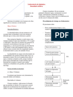 Quimica Lab Densidad